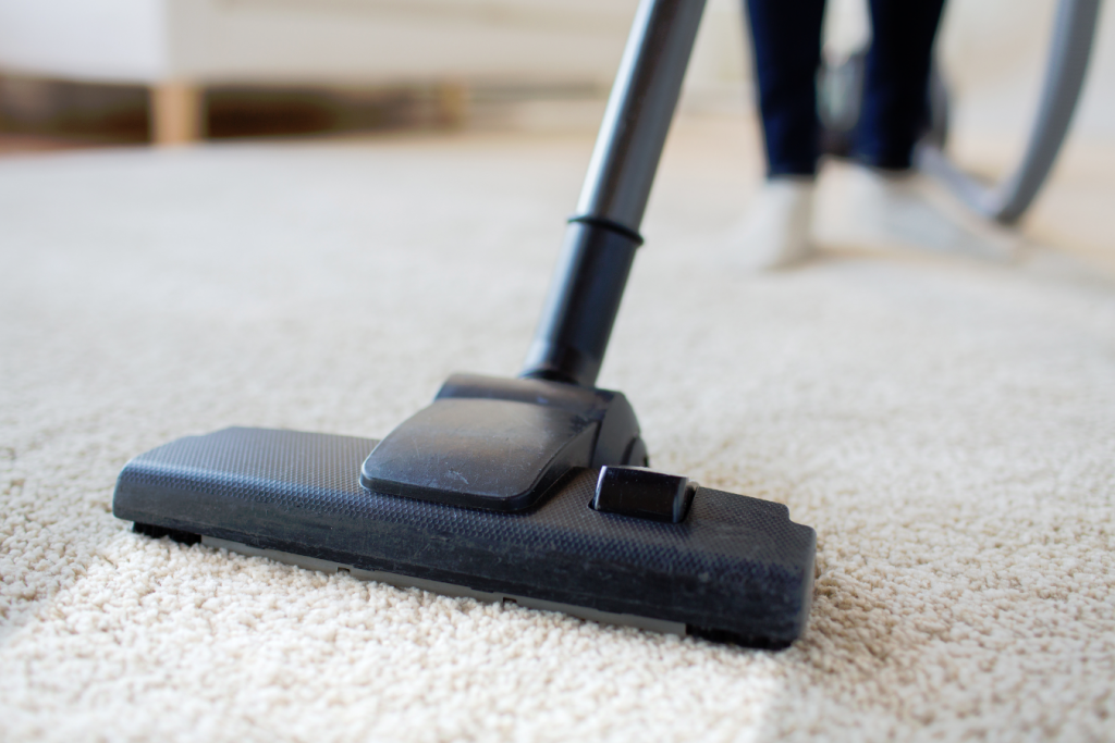 Carpet Cleaning